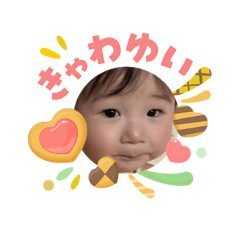 no_20260503064538