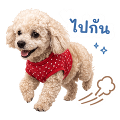 Leila the Fluffy Poodle In Red