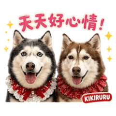 哈士奇Ki&Ru