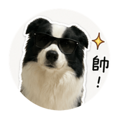 沐大姐2