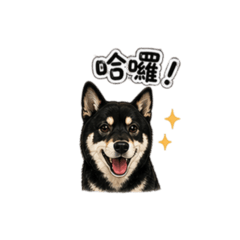 芸糰