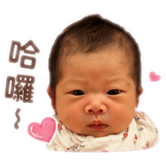 卓二寶