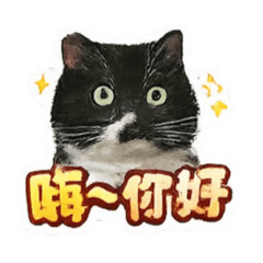 賓狗厭世日常