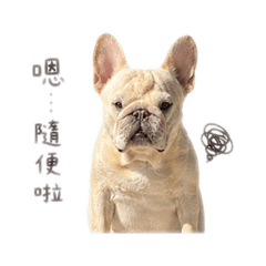 厭世皮蛋寶