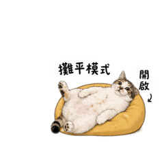 台味厭世貓-今天也在攤平