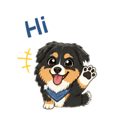 迷你美國牧羊犬（尼歐）