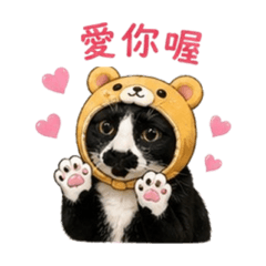 我是酷吉2.0！