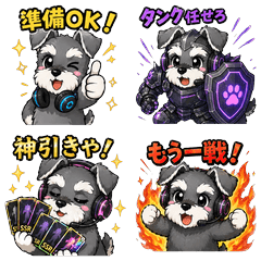 Gaming Schnauzer in Kansai