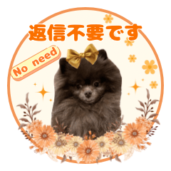 Kuu's Basic Greetings(Polite&Daily)