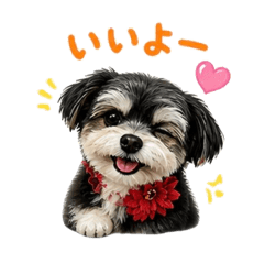 fukuchiro_20260503044648