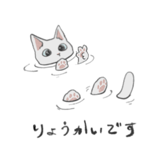 omio_20260503054320