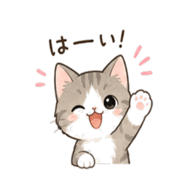 qt-cat