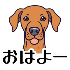 The Doggo Casual Edition.