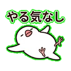 Sassy Java Sparrow Couple