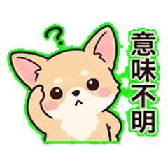 Salty Curry Chihuahua