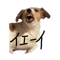honoka_20260502222742
