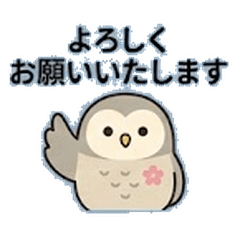 Formal Ural Owl: Business Etiquette