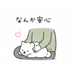 Shiba | Daily Message Stickers 2