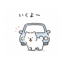 Shiba | Driving Stickers