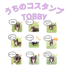 tobydog