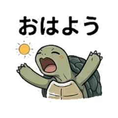 tortoise kametan