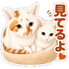 The everyday life with Kotaro & Chiroko
