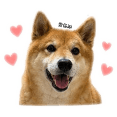 摳的貼圖