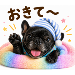 Namster_20260428194050