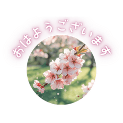 Cute flower LINE Stickers26