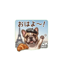 A French Bulldog living in France