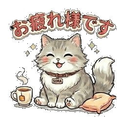 SORA The Gym's Mascot Cat