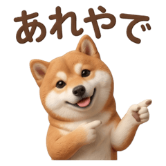 3D Cute Shiba Inu with Kansai Dialect