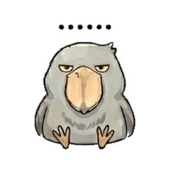 The Wise Shoebill's Words of Wisdom