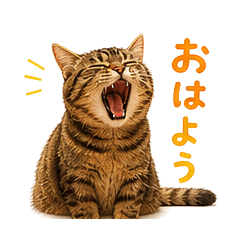 Adorable Tabby Cat Stickers (24 in 1)