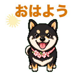 Koume Daily Stickers