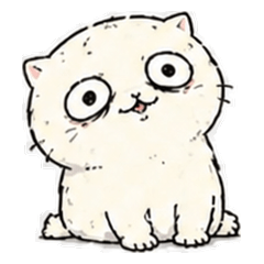 Offbeat Cute Cats | Kansai Chill Talk