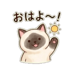 jimmy- Daily Chat Stickers