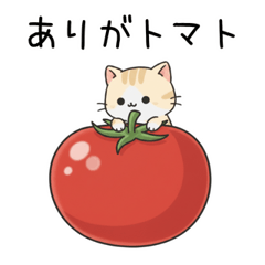 小小貓｜每天都能用的可愛雙關語貼圖