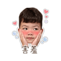 元宝の語錄日常