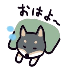 Ohagi, the black Shiba Inu