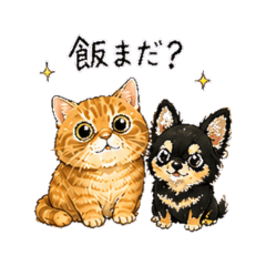 Poteto & Tirol | Daily Phrase Stickers