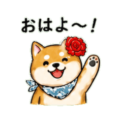 Shiba Inu 2 | Everyday Chat Stickers