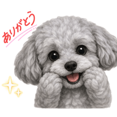 Energetic Silver Poodle Gin
