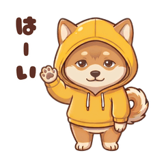 Darukawa Shiba Inu