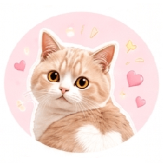 Cute Cream Cat Stickers