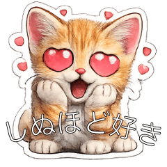 High Energy Kitty for Chat