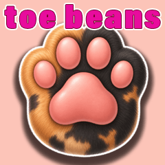 toe beans -Tortoiseshell cat-