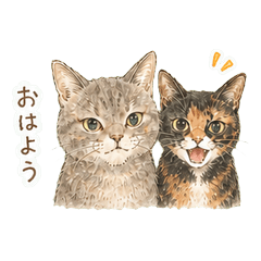 Former Rescue Cats Sakura & Kaede