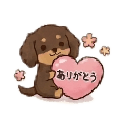 Cute & Mellow Dachshund (Tan)