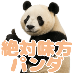 Friendly Panda : 10 Milky Apricot